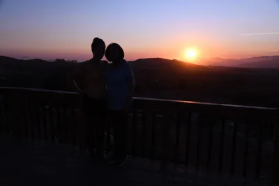 DSC_2155 (Large).JPG